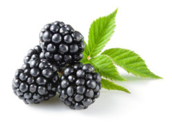 Blackberries