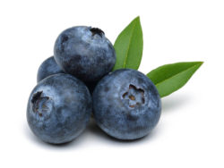 Blueberries