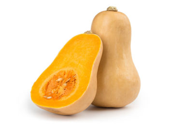 Butternut  Squash