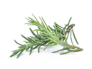 Rosemary