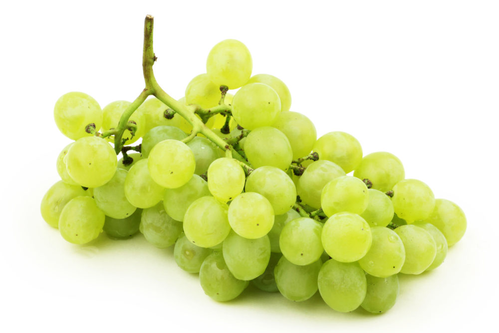 Autumn Crisp International Produce Group
