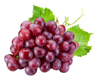 Red Grape